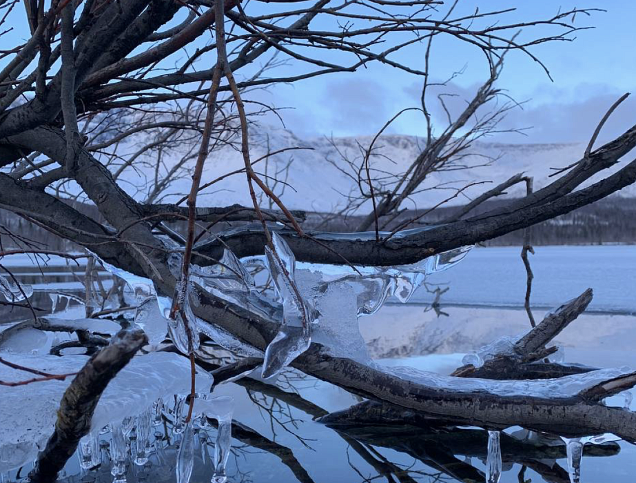 Апатиты. Автор: Ирина Кривовичева